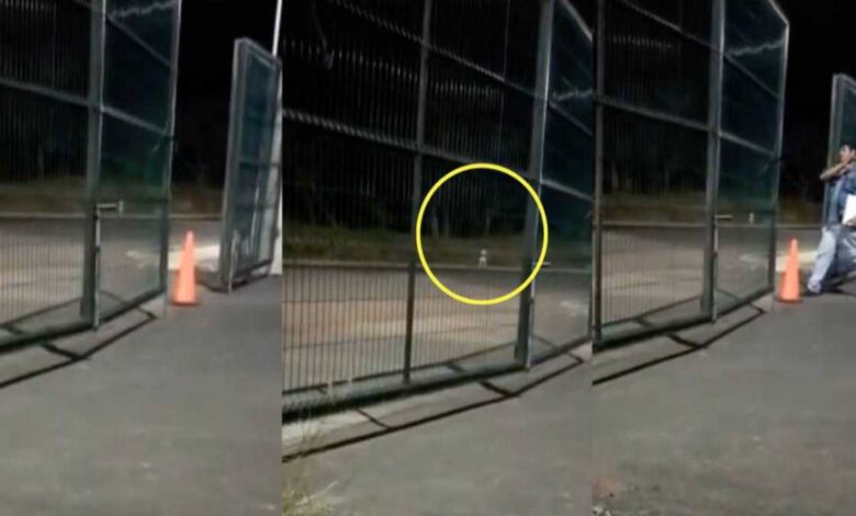 Trailero capta a supuesta niña fantasma en carretera de Veracruz